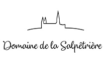 Logo Salpetriere
